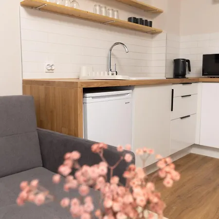 Apartment Plum With Terrace #self Check-in *